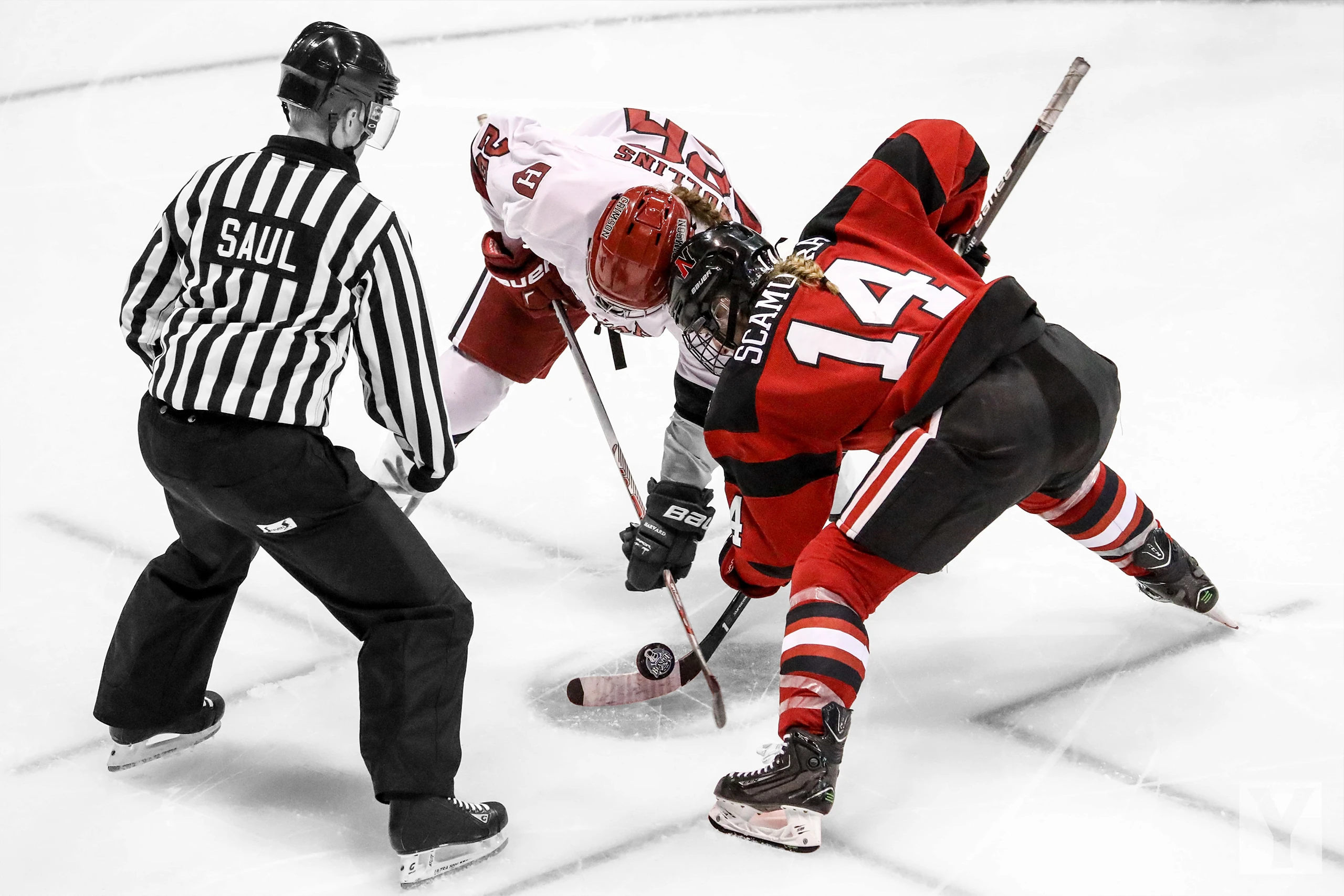 Hockey referee drops the puck between two players